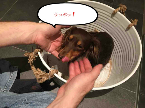 BlogPaint