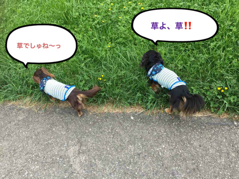 BlogPaint