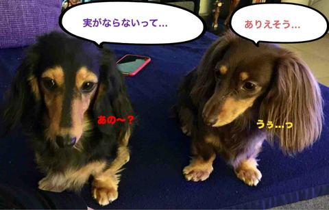 BlogPaint