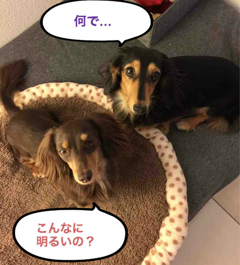 BlogPaint