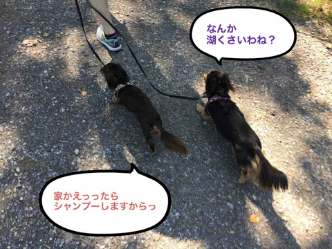 BlogPaint