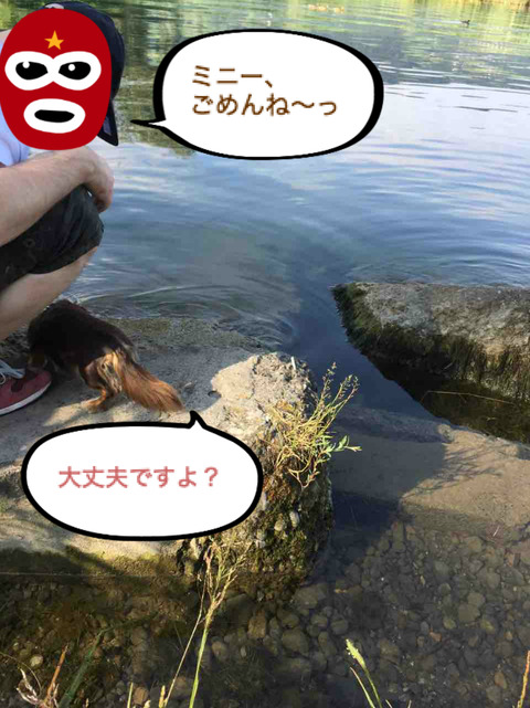 BlogPaint