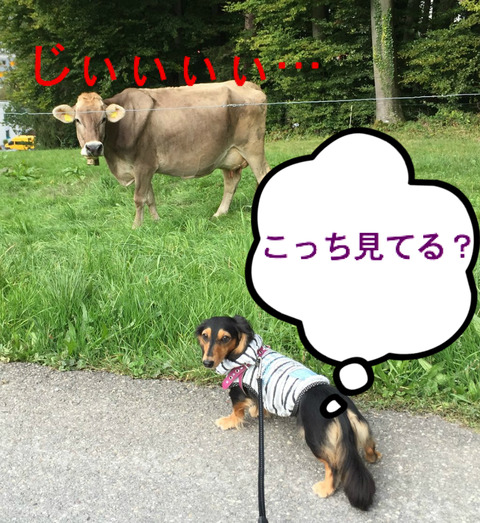 BlogPaint