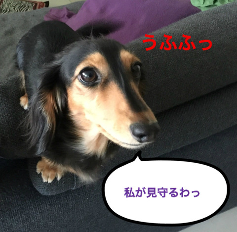BlogPaint