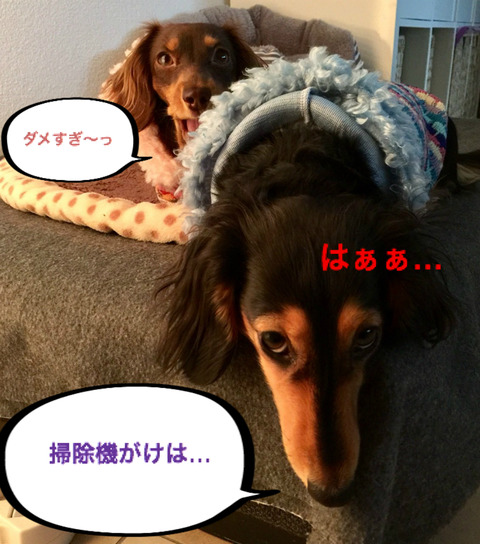 BlogPaint