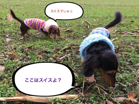 BlogPaint