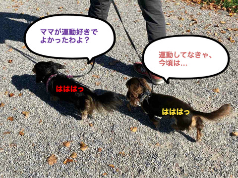 BlogPaint