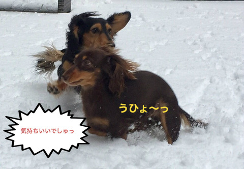 BlogPaint