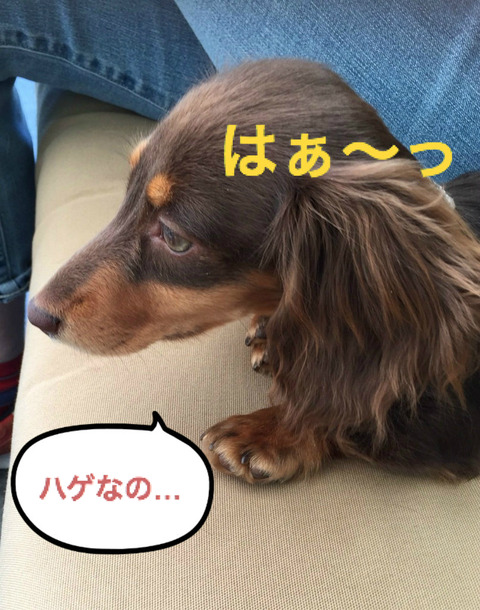 BlogPaint