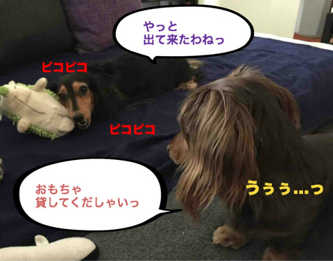 BlogPaint