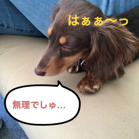 BlogPaint