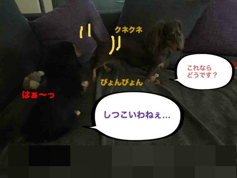 BlogPaint