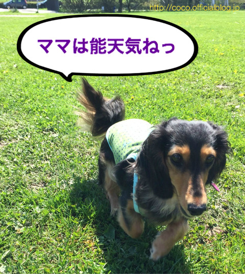 BlogPaint