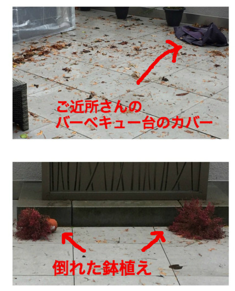 BlogPaint