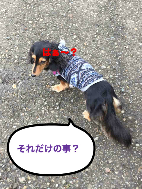 BlogPaint