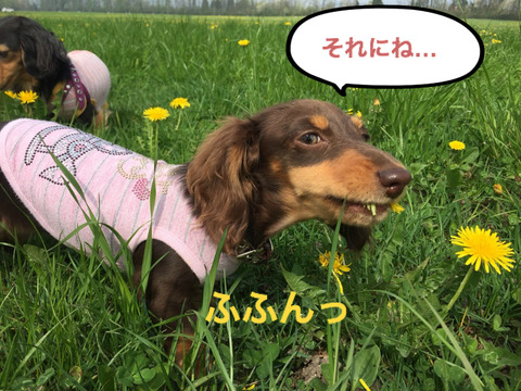 BlogPaint