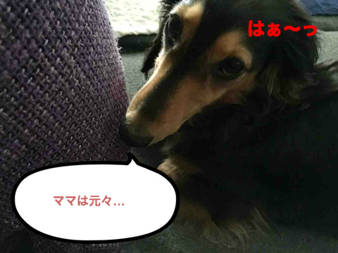 BlogPaint