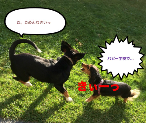 BlogPaint