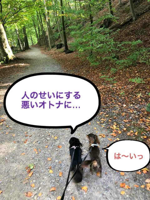 BlogPaint