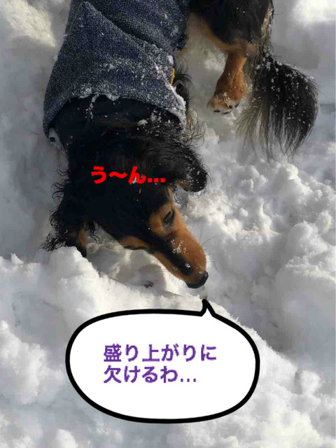 BlogPaint