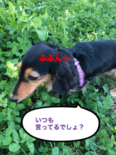 BlogPaint