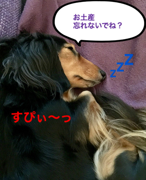 BlogPaint