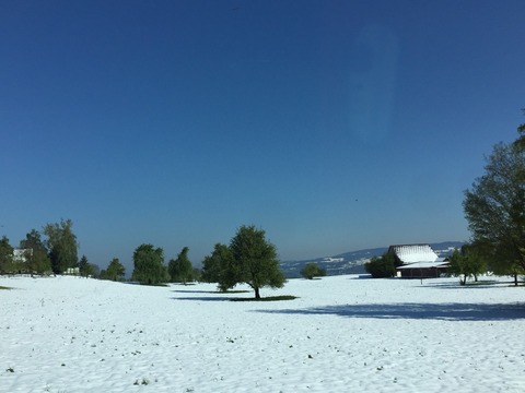 2017-04-29-16-36-54