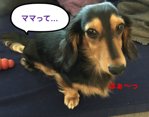 BlogPaint