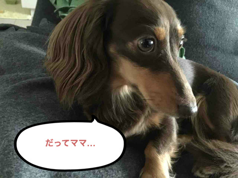 BlogPaint