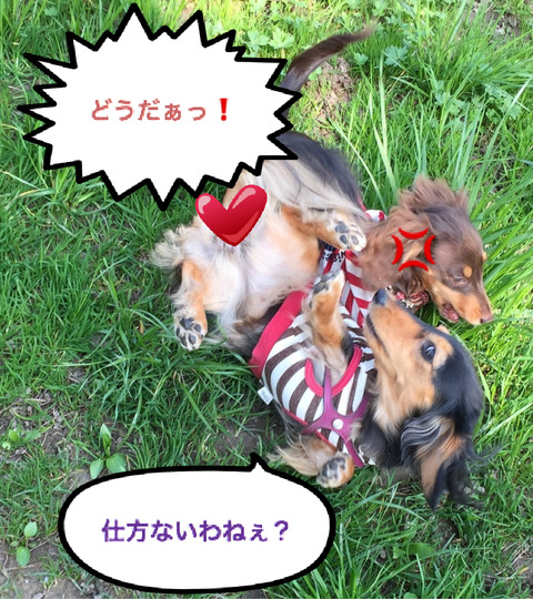 BlogPaint