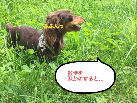 BlogPaint