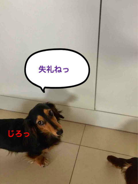 BlogPaint
