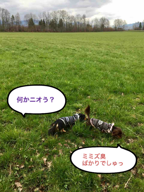 BlogPaint