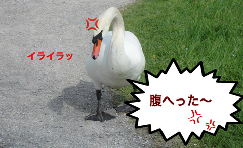 BlogPaint