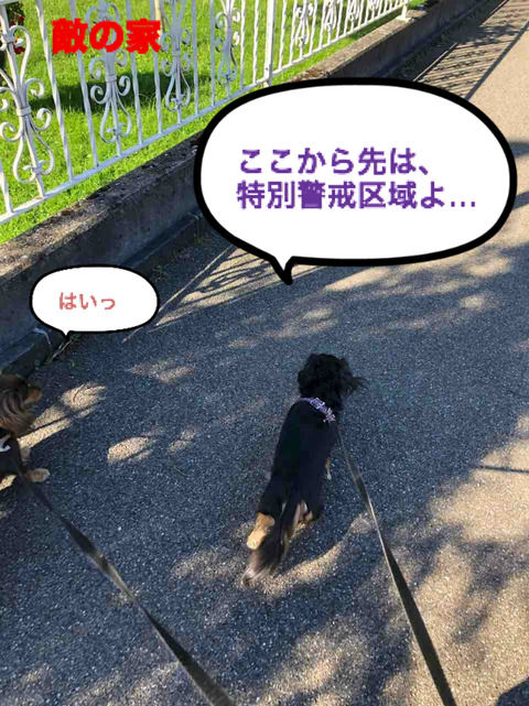 BlogPaint