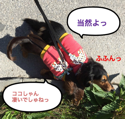 BlogPaint