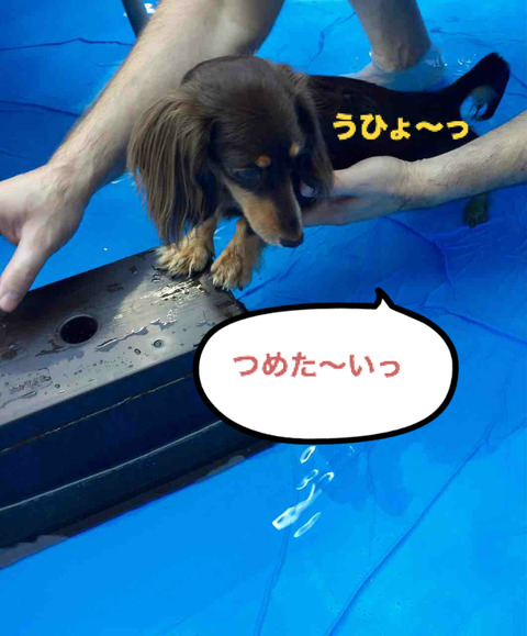 BlogPaint