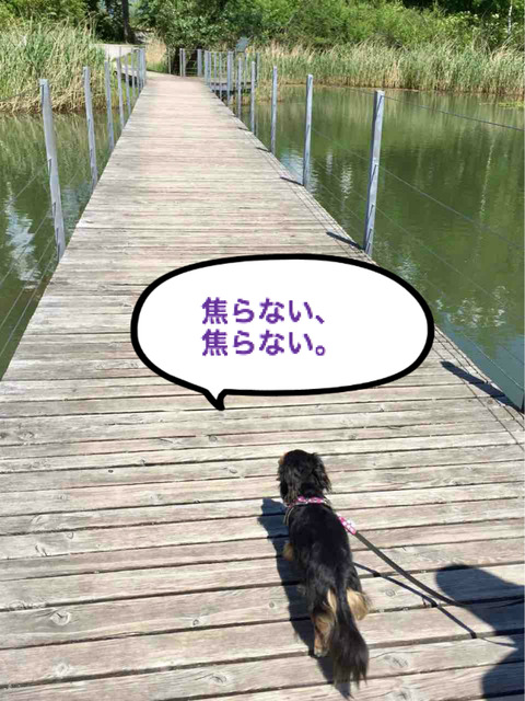 BlogPaint