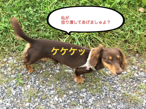 BlogPaint