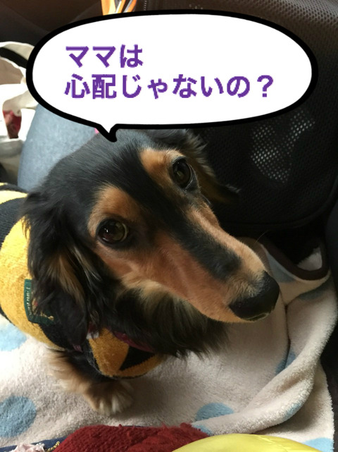 BlogPaint