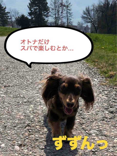 BlogPaint