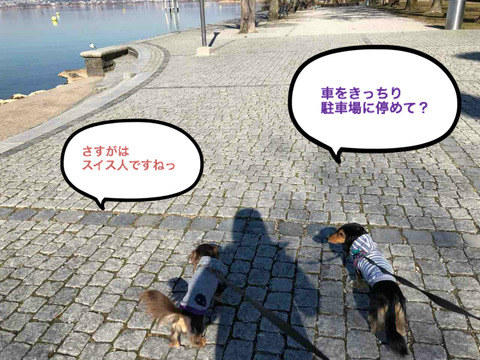 BlogPaint