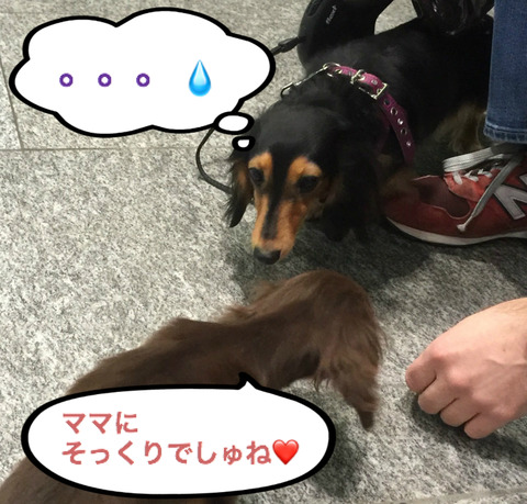 BlogPaint