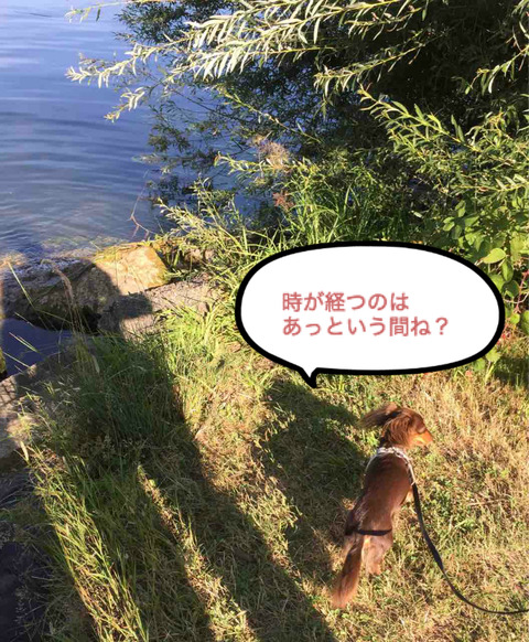 BlogPaint