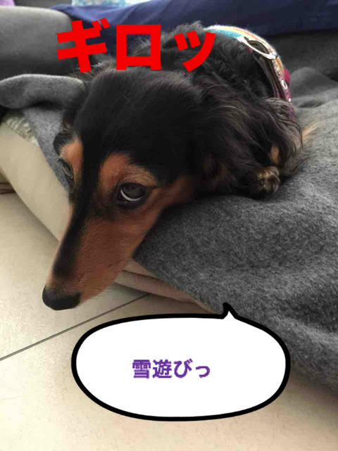 BlogPaint