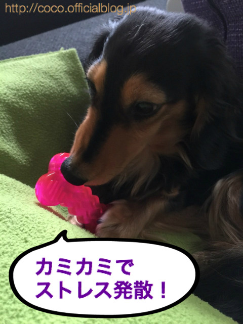 BlogPaint