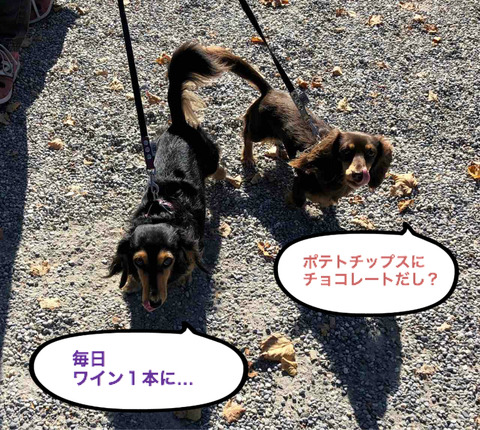 BlogPaint
