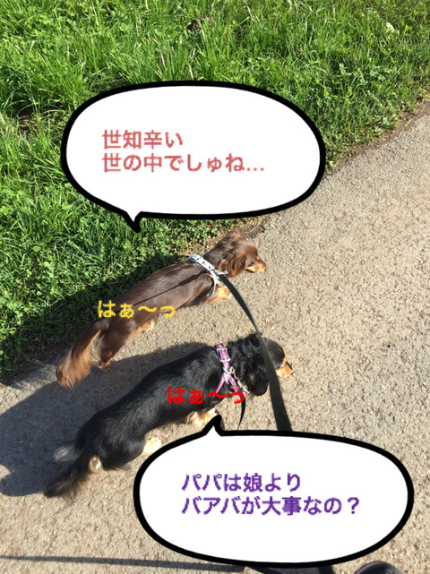 BlogPaint
