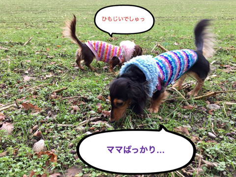 BlogPaint