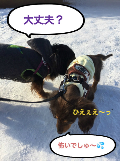 BlogPaint